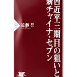 Japanese Politics Kindle eBook by PHP研究所 247‑Page International-0