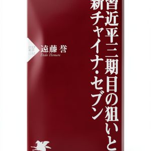 Japanese Politics Kindle eBook by PHP研究所 247‑Page International-0